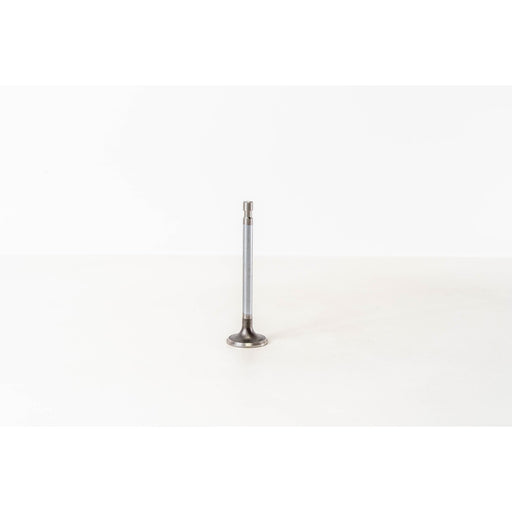 823400 Inlet Valve
