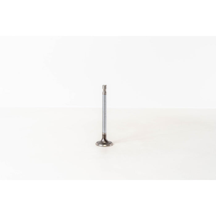 823400 Inlet Valve