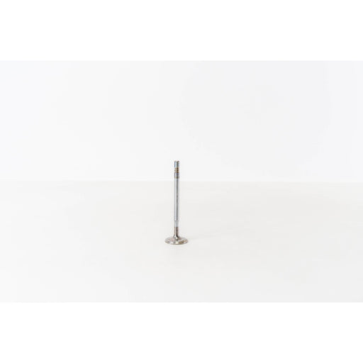 823410 Inlet Valve