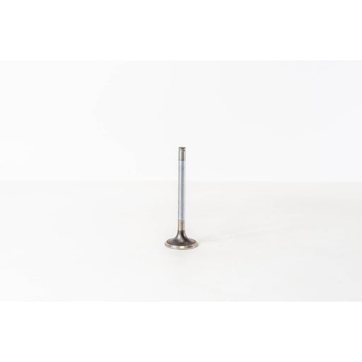 823430 Inlet Valve
