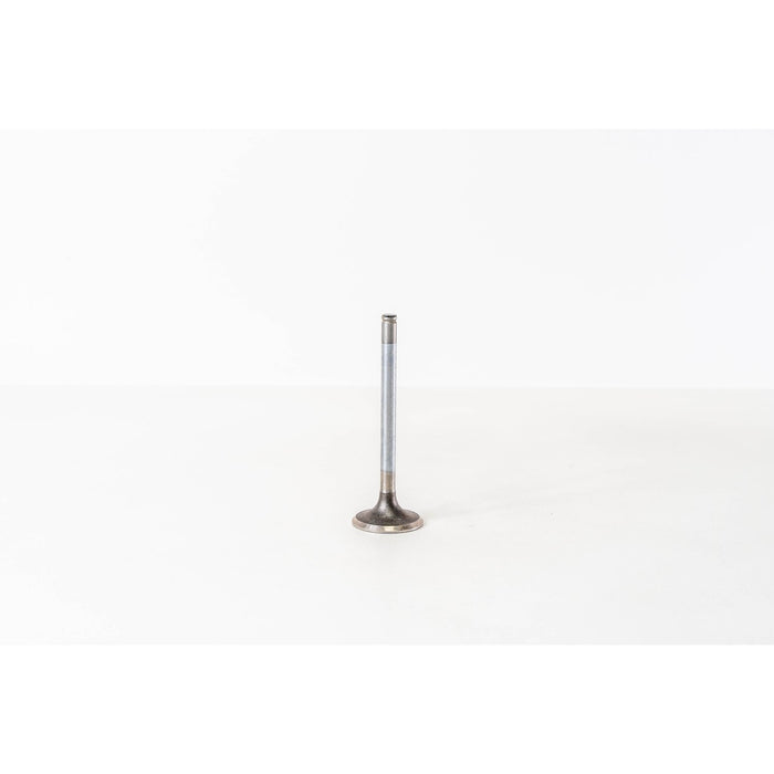 823430 Inlet Valve