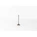 823430 Inlet Valve