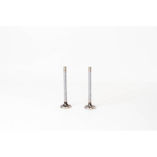 823440 Outlet valve