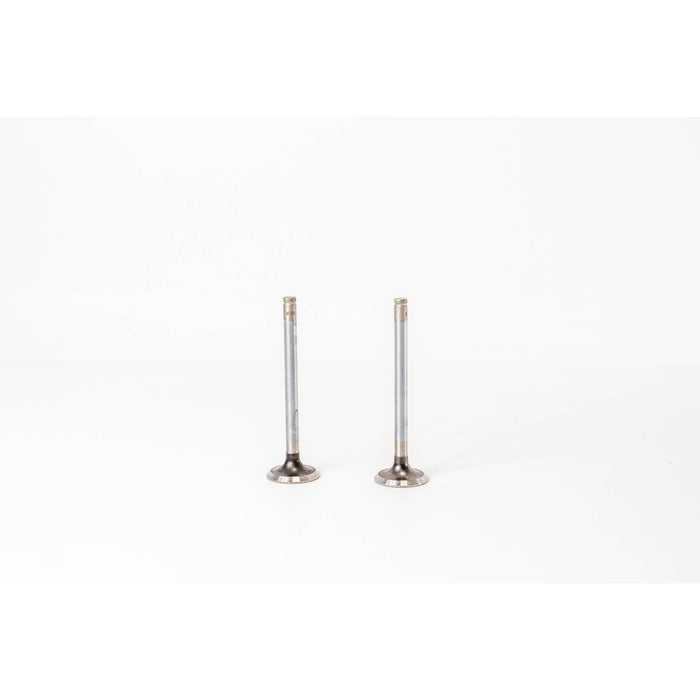 823440 Outlet valve
