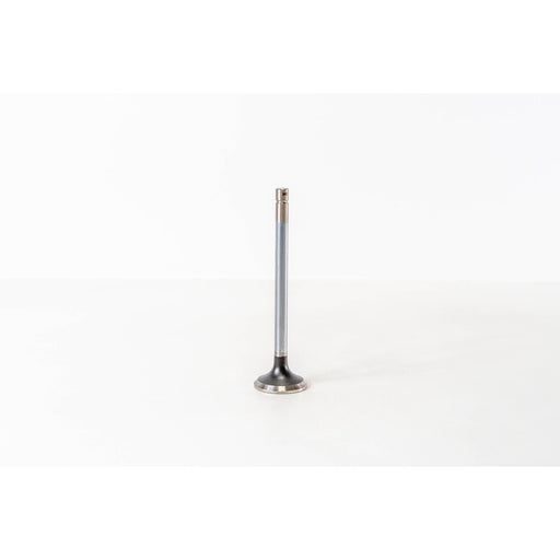 823530 Outlet valve