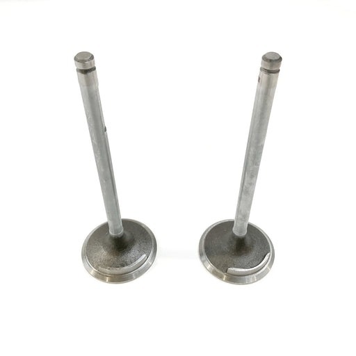 823541 Inlet Valve