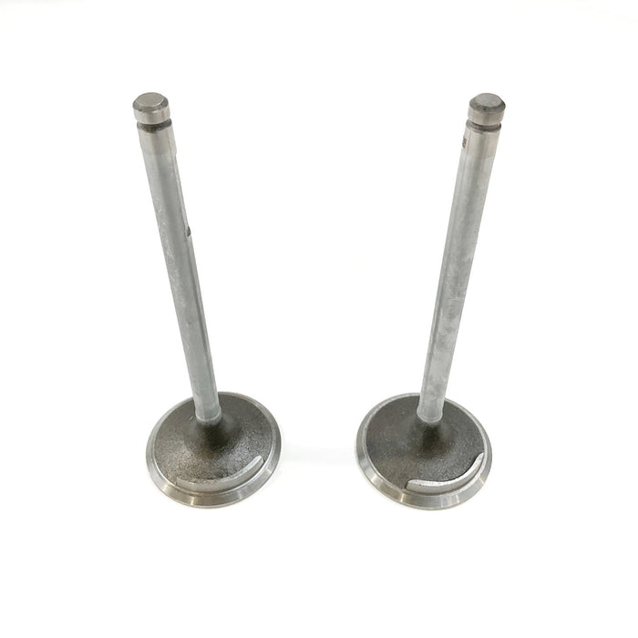823541 Inlet Valve