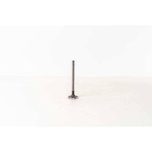 823560 Outlet valve