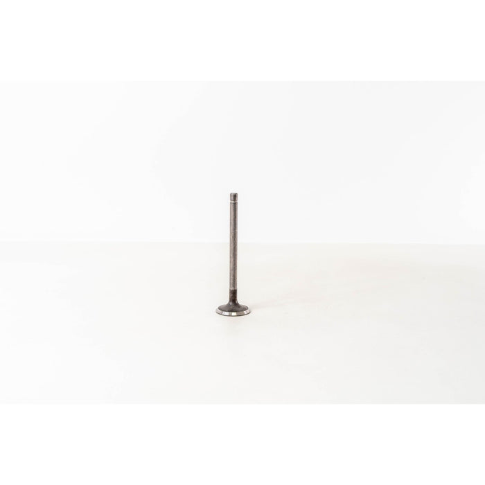 823560 Outlet valve