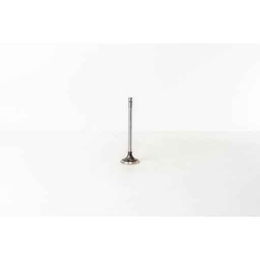 823580 Outlet valve