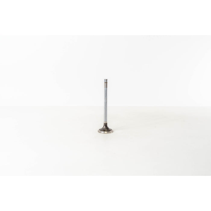 823580 Outlet valve