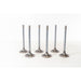 823590 Inlet Valve