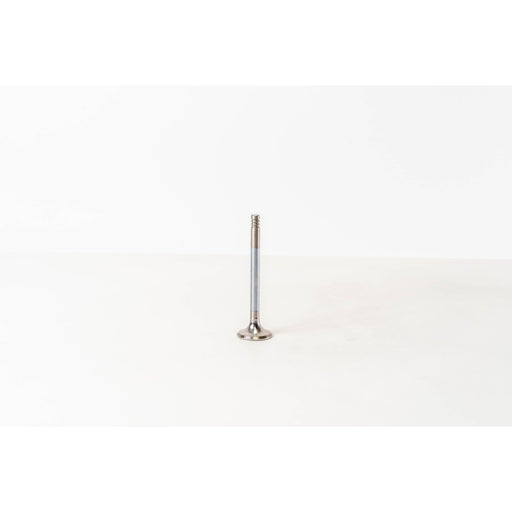 823710 Outlet valve