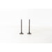 823835 Inlet Valve