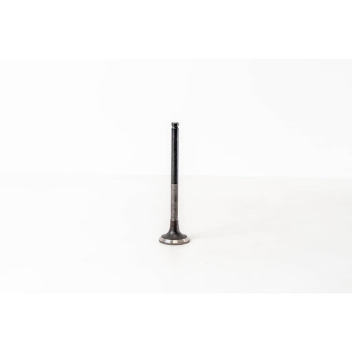 823837 Outlet valve