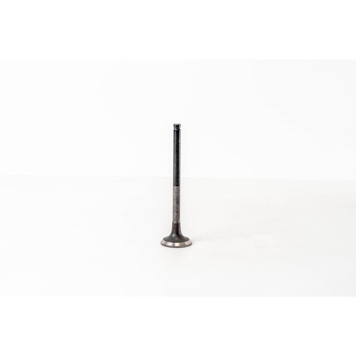 823837 Outlet valve