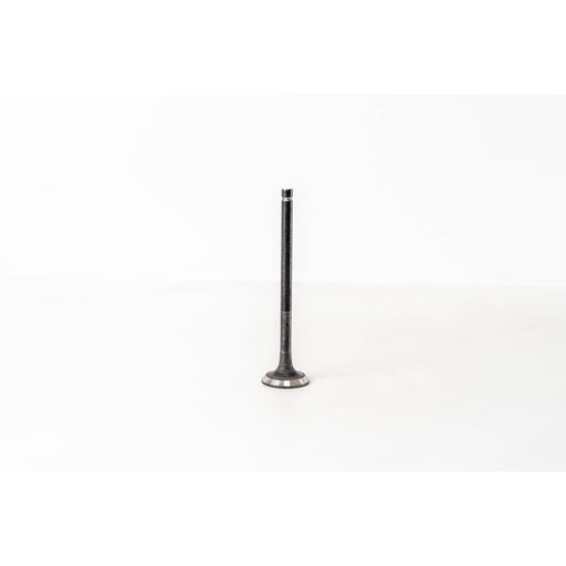 823840 Outlet valve