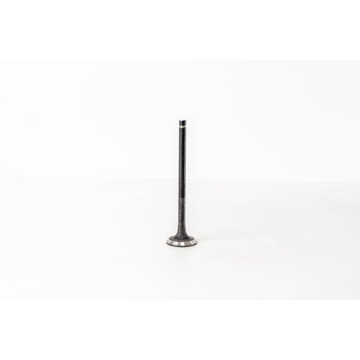 823840 Outlet valve