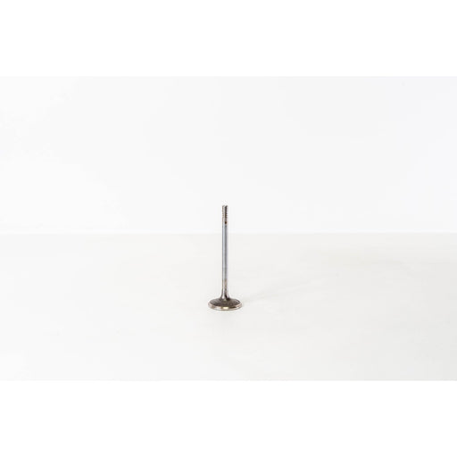 823900 Inlet Valve