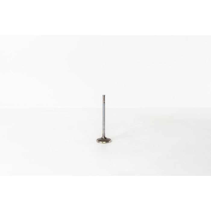 823900 Inlet Valve