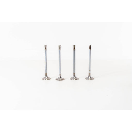 823920 Inlet Valve