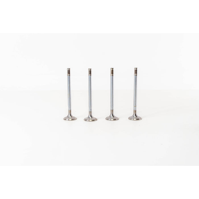 823920 Inlet Valve