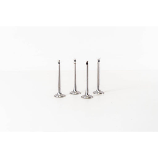 823960 Inlet Valve