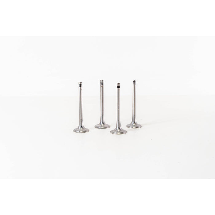 823960 Inlet Valve