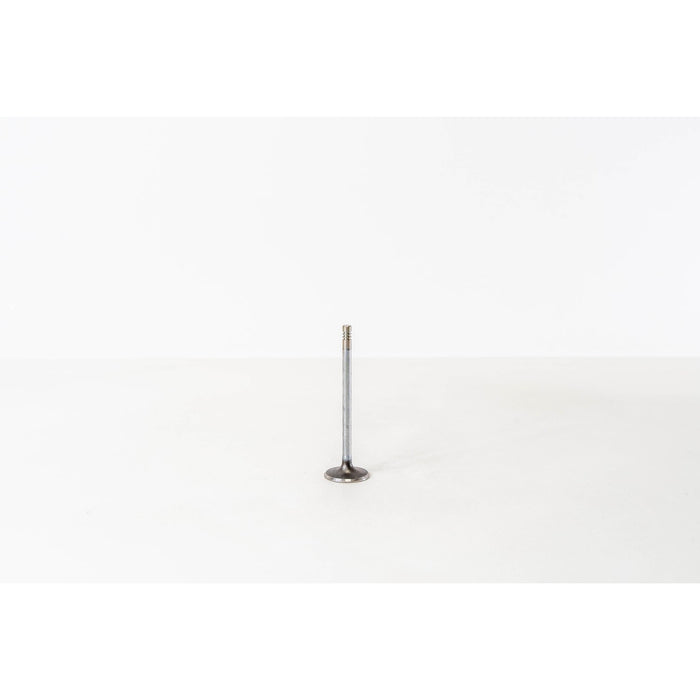824040 Inlet Valve