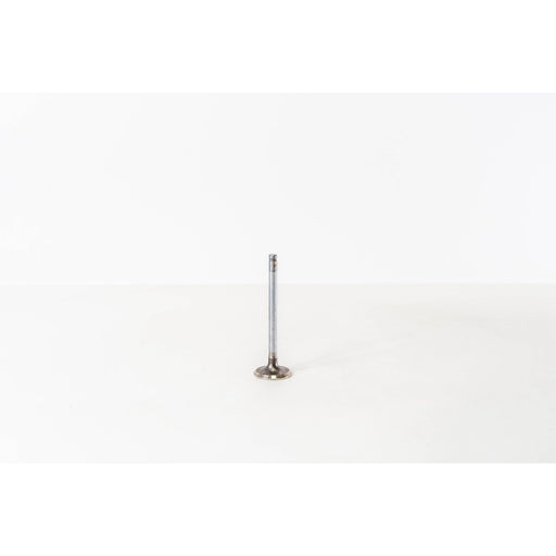 824080 Inlet Valve
