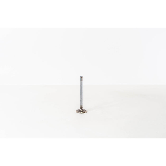 824080 Inlet Valve