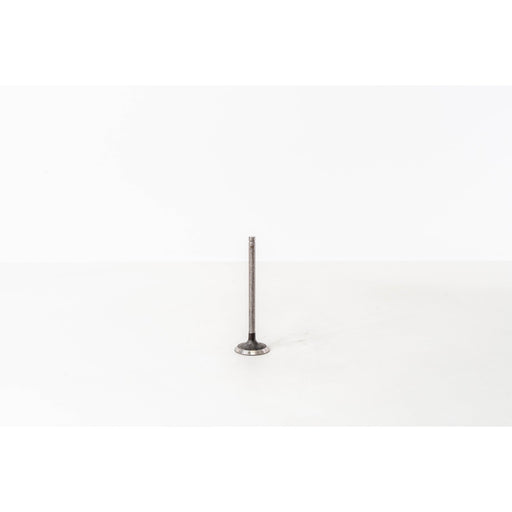 824180 Inlet Valve