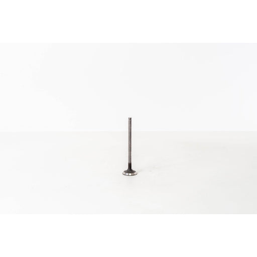 824190 Outlet valve
