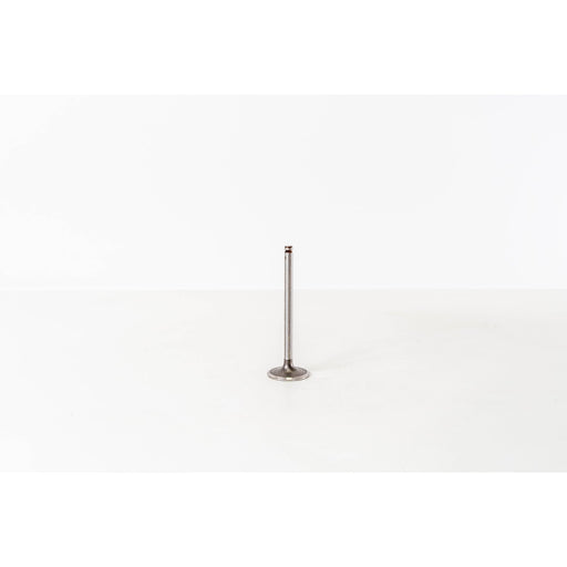 824200 Inlet Valve