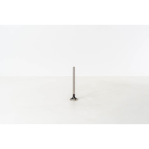 824250 Outlet valve