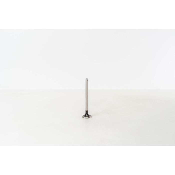 824250 Outlet valve