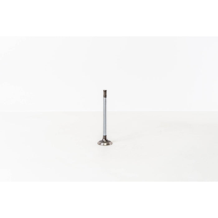 824320 Inlet Valve