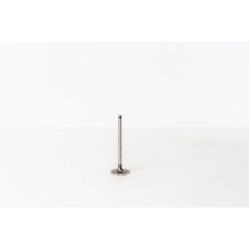824460 Inlet Valve