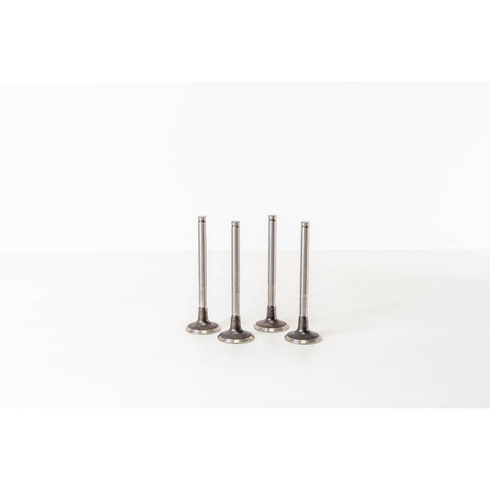 824500 Inlet Valve