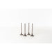 824500 Inlet Valve