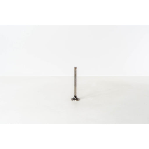 824510 Outlet valve