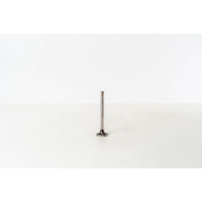 824510 Outlet valve