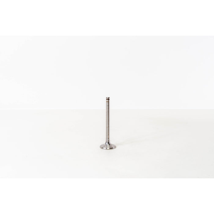 824580 Inlet Valve