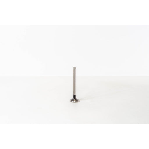824590 Outlet valve