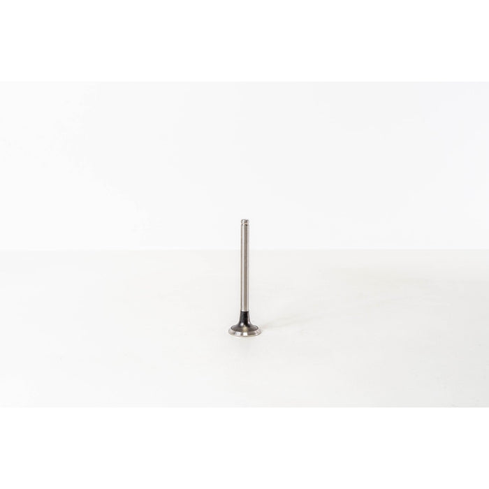 824590 Outlet valve