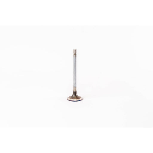 824600 Inlet Valve