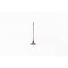 824600 Inlet Valve