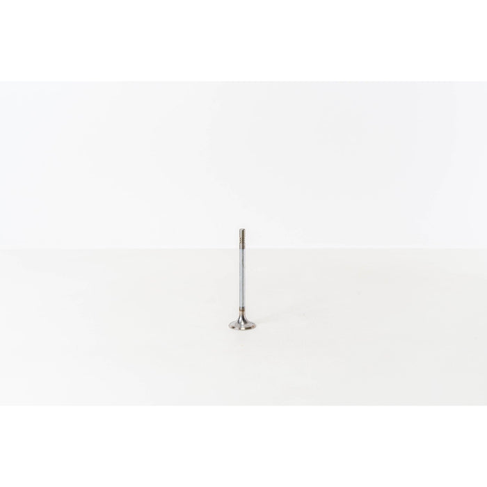 824620 Inlet Valve