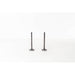 824780 Inlet Valve