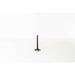 824980 Inlet Valve